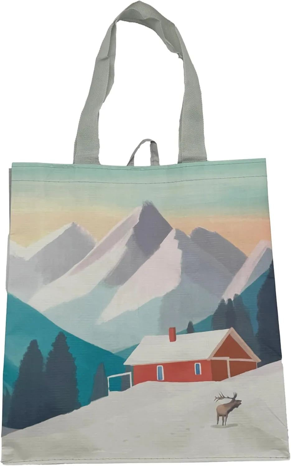Earthwise Reusable Shopping Bags Extremely Durable Multi Use Large Stylish Fun Foldable Water-Resistant Totes