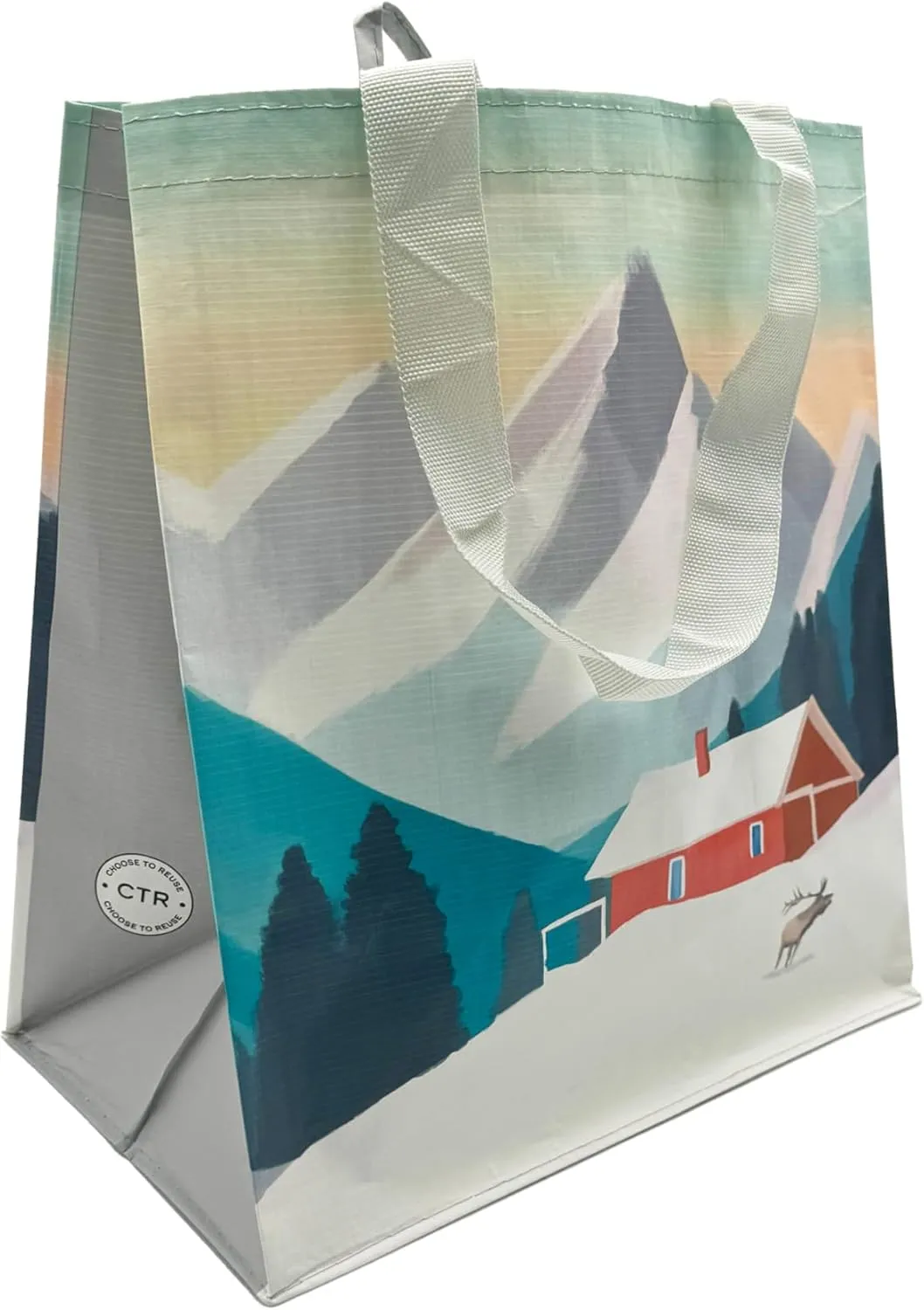 Earthwise Reusable Shopping Bags Extremely Durable Multi Use Large Stylish Fun Foldable Water-Resistant Totes