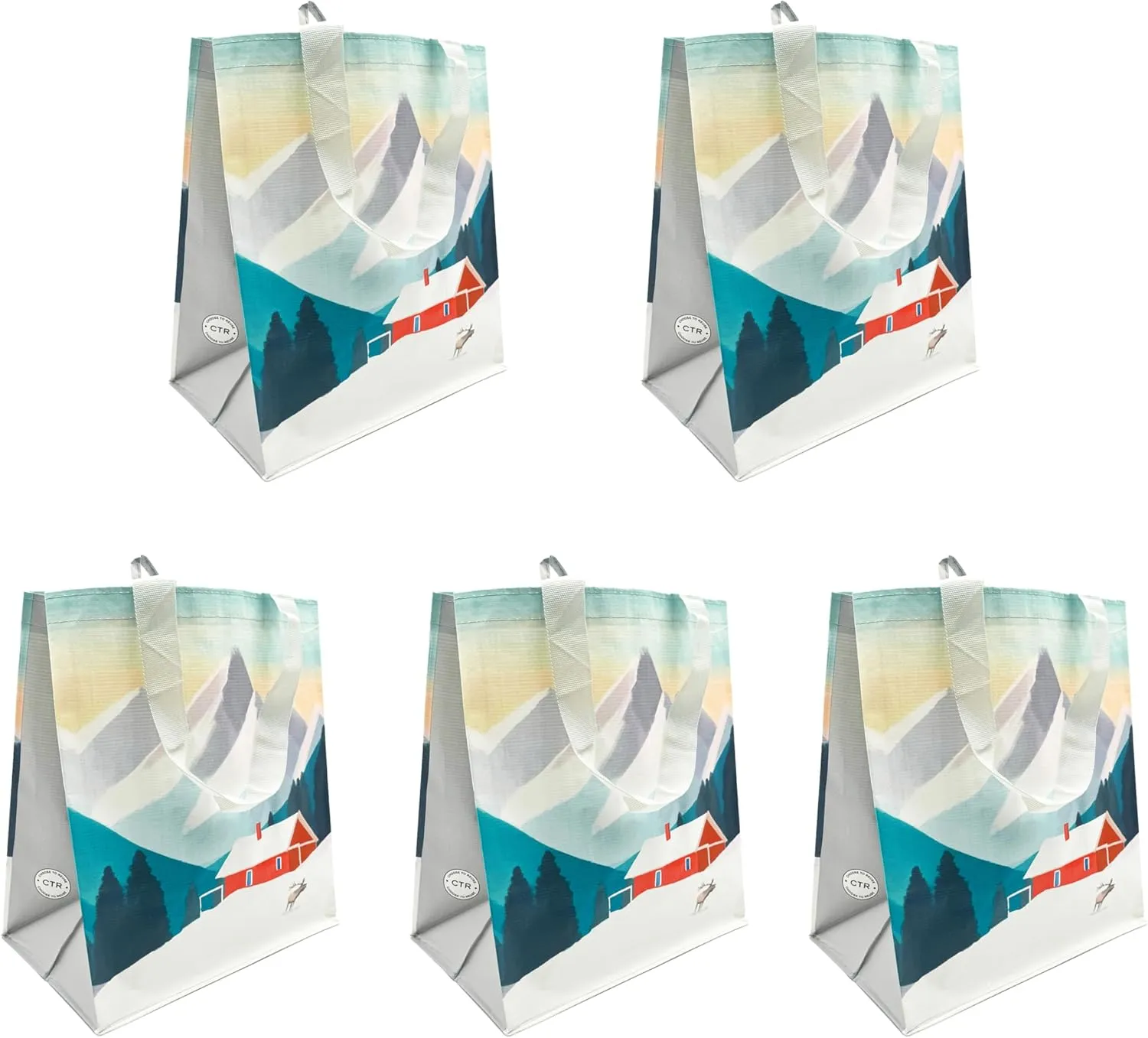 Earthwise Reusable Shopping Bags Extremely Durable Multi Use Large Stylish Fun Foldable Water-Resistant Totes