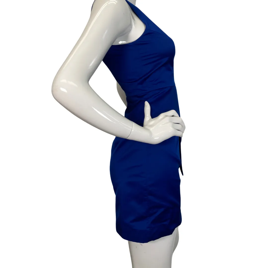 Milly Modern Royal Blue Silk-like Dress