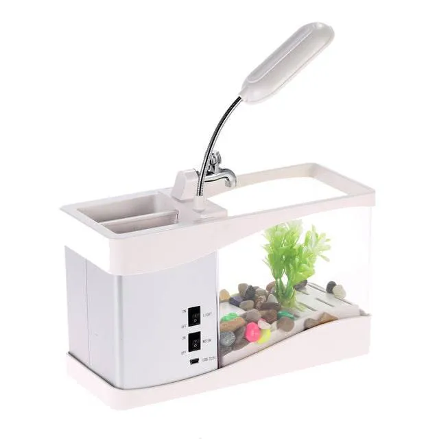 Mini Aquarium
