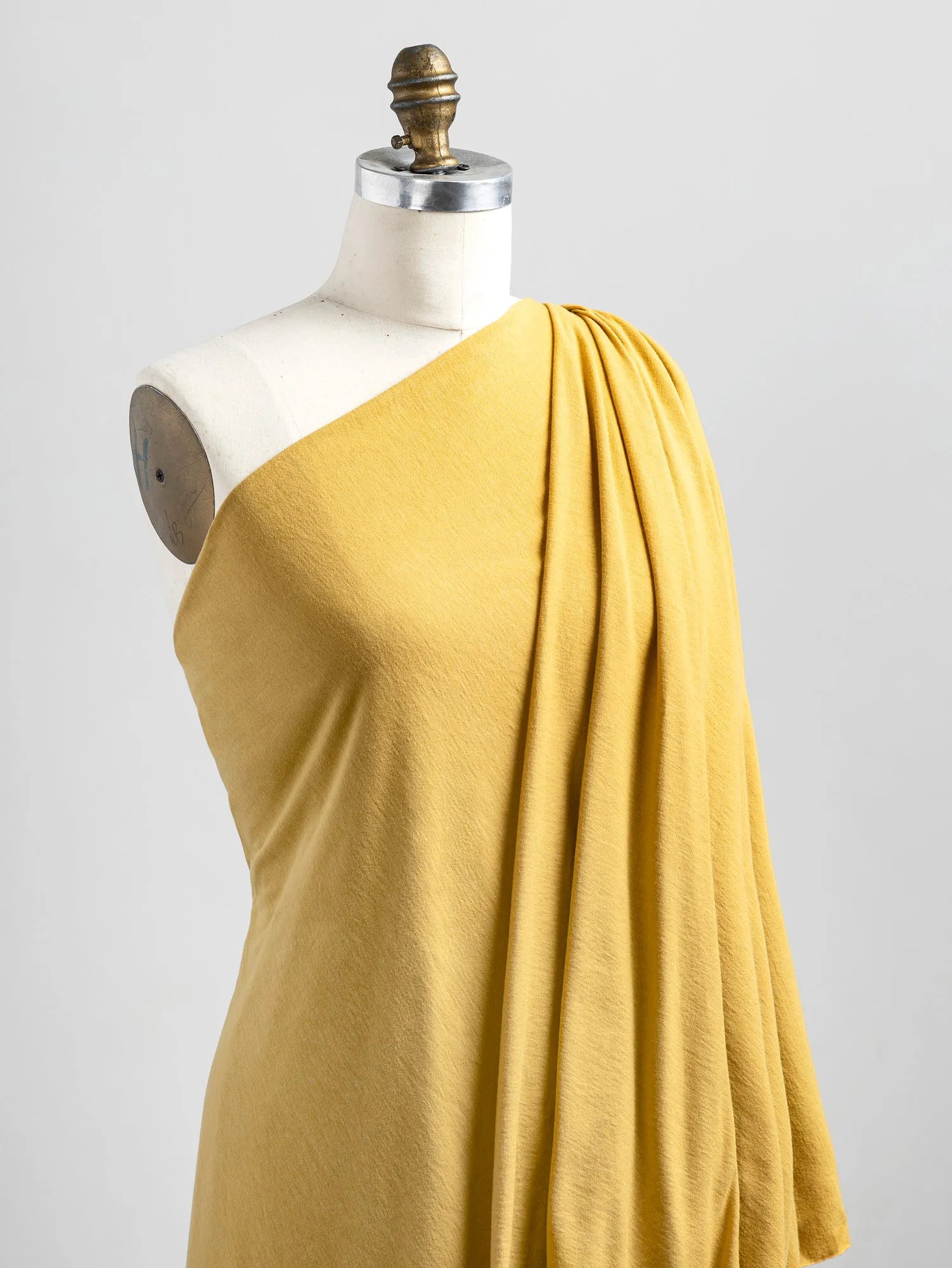 Organic Cotton Jersey Knit - Honey - Swatch