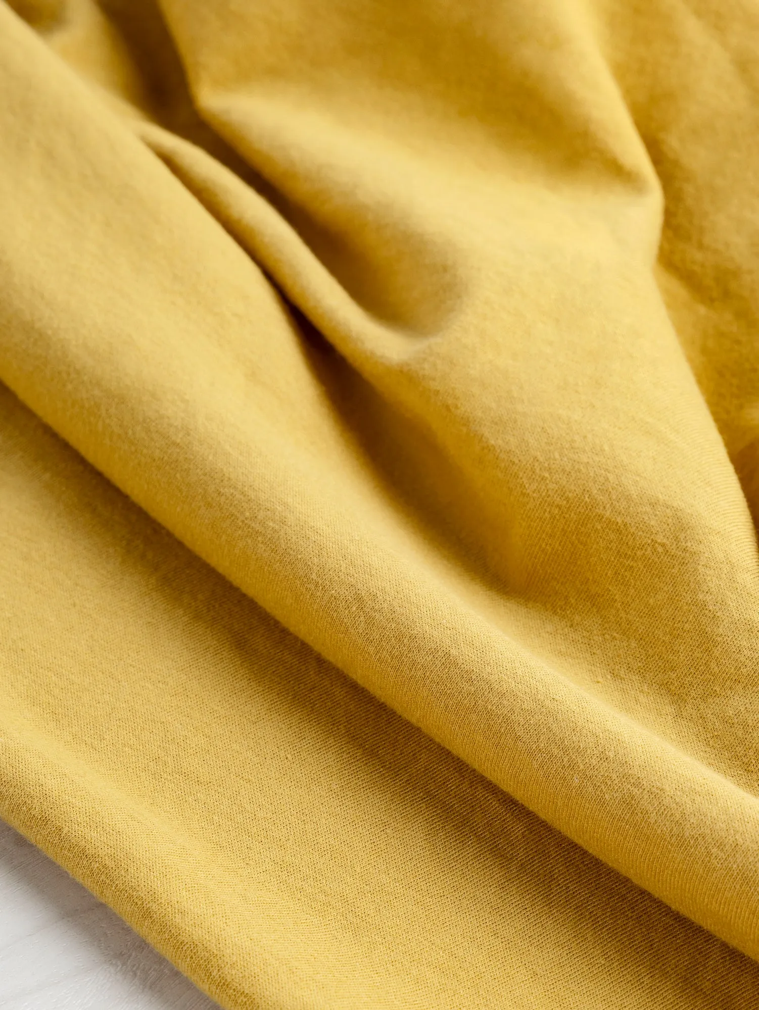 Organic Cotton Jersey Knit - Honey - Swatch