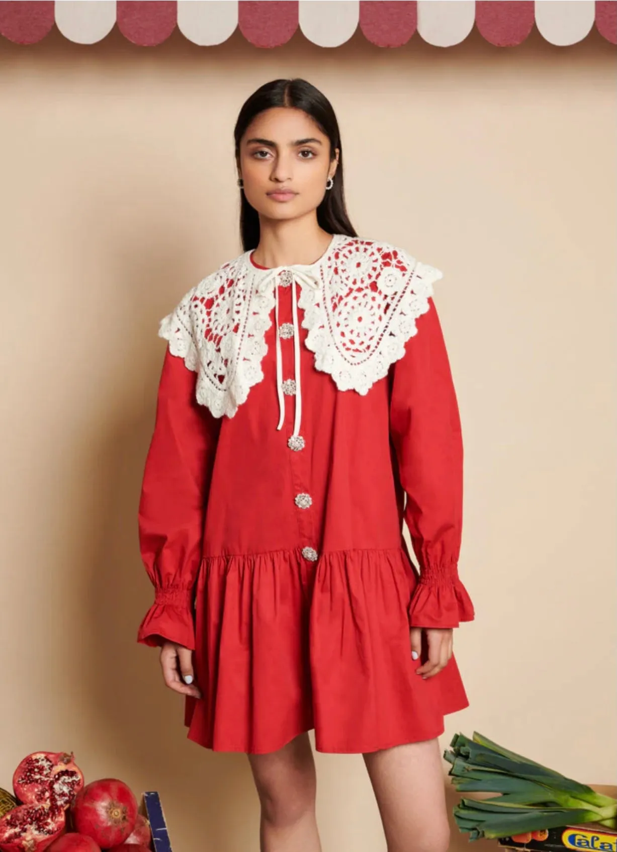 POMEGRANATE COLLAR MINI DRESS